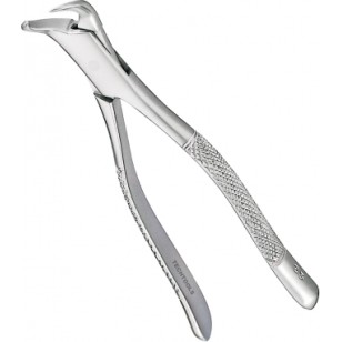 Extracting Forceps Adults 